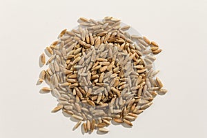 Rye cereal grain. Pile of grains. Top view.