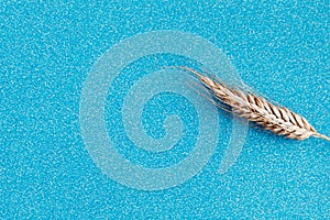 Rye ear on color background. Agriculture concept in minimalism style.