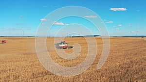 Rye field with multiple reaping combines at work