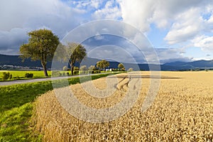 Rye Field in Neuchatel