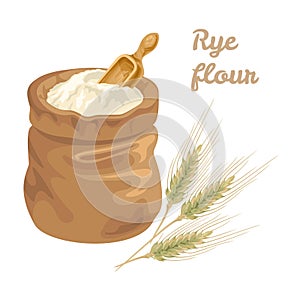 Rye flour in bag with a measured wooden scoop and ears of cereal