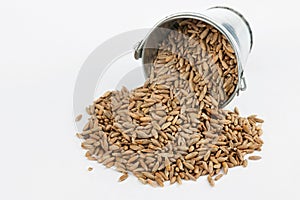 Rye grains spilling out of bucket