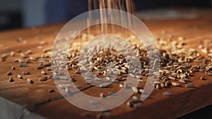 Rye grains on wood