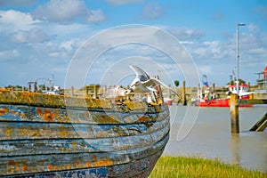 Rye Harbour, East Sussex, England. Old weathered boat sitting in the mud at low tide with seagull caring adult and juvenile
