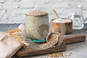 The rye leaven for bread is active. Starter sourdough  fermented mixture of water and flour to use as leaven for bread baking.