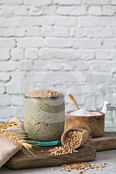 The rye leaven for bread is active. Starter sourdough  fermented mixture of water and flour to use as leaven for bread baking.