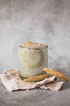 The rye leaven for bread is active. Starter sourdough  fermented mixture of water and flour to use as leaven for bread baking.