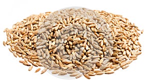 Rye. Pile of grains, isolated white background.