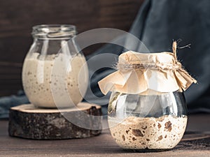 Rye and wheat sourdough starter