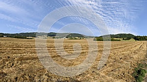 Oregon Grown Ryegrass Harvest in the Mid-Willamette Valley, Marion County photo