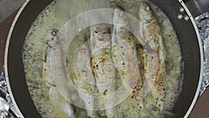 Rying fish in a frying pan with olive oil, garlic, black pepper and rosemary twigs.