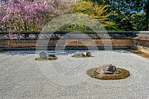 Ryoan-ji Temple at springtime