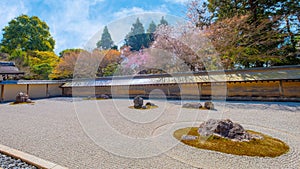 Ryoanji Temple is the site of Japan\'s most famous rock garden and beautiful cherry blossom in sprin