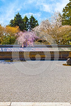 Ryoanji Temple is the site of Japan\'s most famous rock garden and beautiful cherry blossom in sprin