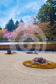 Ryoanji Temple is the site of Japan\'s most famous rock garden and beautiful cherry blossom in sprin