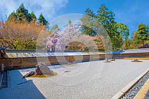 Ryoanji Temple is the site of Japan\'s most famous rock garden and beautiful cherry blossom in sprin