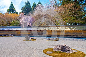 Ryoanji Temple is the site of Japan\'s most famous rock garden and beautiful cherry blossom in sprin