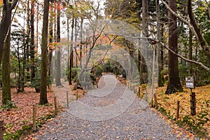 Ryoanji Temple, a Zen temple located in northwest Kyoto in Autumn, Japan