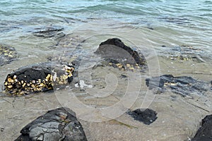 Ð¡rystal clear water and rocks on the shore