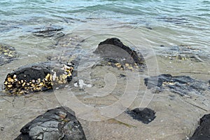 ÃÂ¡rystal clear water and rocks on the shore photo