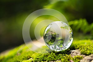 rystal globe glass resting on moss stone with sunshine in nature forset. eco  environment concept