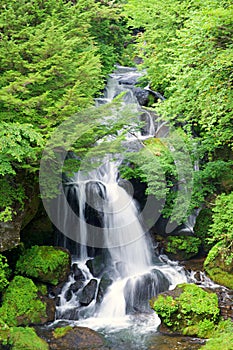 Ryuzu Waterfalls with lots of water surrounded by green foliage in the summer in Nikko, Tochigi