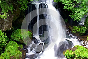 Ryuzu Waterfalls with lots of water surrounded by green foliage in the summer in Nikko, Tochigi