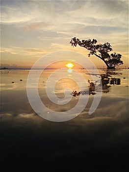 RÃÂ©flection of sunset