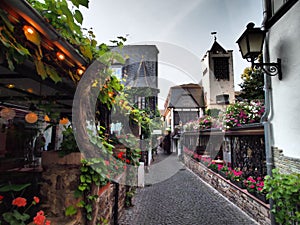 RÃ¼desheim am Rhein-the most beautiful nicely decorated restaurants and wine bars in the romantic city