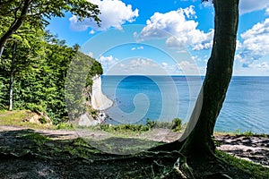 RÃ¼gen, Germany coastal hiking path with stunning views of the white cliffs