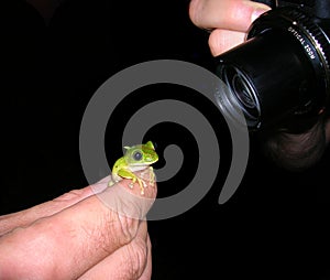 It's all in the details!