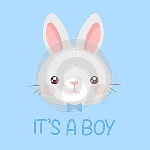 It\'s a boy. Cute baby bunny rabbit. Cartoon vector illustration