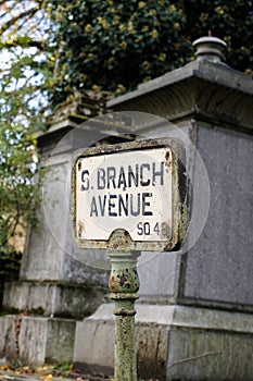 S.Branch Avenue metal sign photo