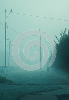 Lonely figure on a bike riding into the morning fog photo