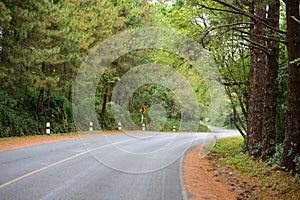 The S curve asphalt road is along with forest