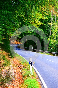 s-curve of the country road around Laacher See