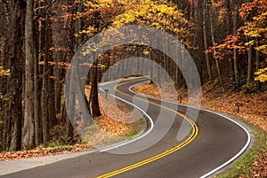 S-curve in Great Smokey Mountains photo