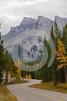 S-curve road in Banff National Park in autumn season