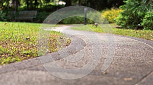 S curve walking pathway in the garden. Business and the path to success concept.