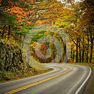 S-Curved Road On Skyline Drive