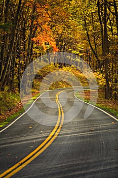 S-Curved Road On Skyline Drive
