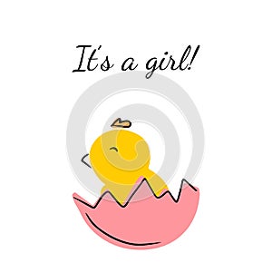 It's a girl. Small newborn chick in pink shell. Baby shower greeting card. Concept of birth, boy birthday party, cute