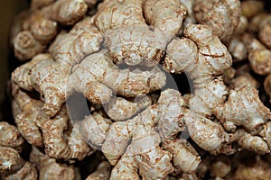 ItÃ¢â¬â¢s a korea crop