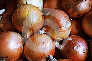 ItÃ¢â¬â¢s a korea crop