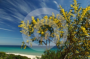 S.Margherita Beach (Sardinia)