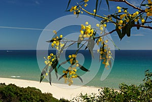 S.Margherita Coast (Sardinia)