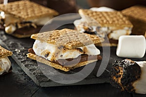 S'mores with Marshmallows Chocolate and Graham Crackers