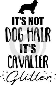 It's not dog hair, it's Cavalier glitter