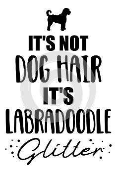 It`s not dog hair, it`s Labradoodle glitter