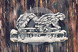 It`s not spring yet! Squirrel cove sign on yard fence covered in snow during a storm